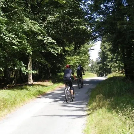 Birkenhain *