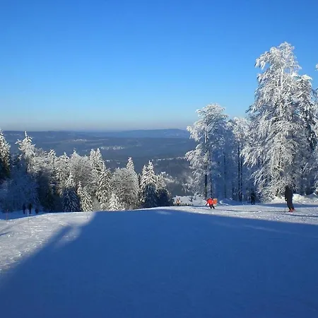 Birkenhain *